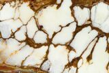Polished Wild Horse Magnesite Slice - Arizona #167390-1